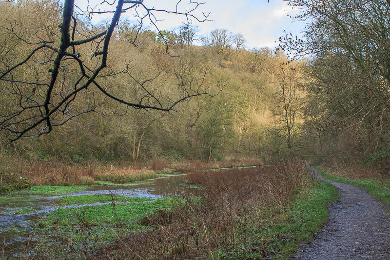 Bradford Dale Bradford Dale
